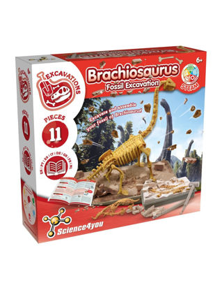 Image de Escav Brachiosaurus Multi8