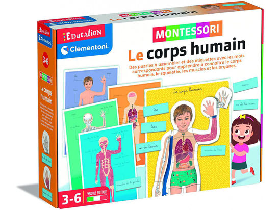 Image de MONTESSORI LE CORPS HUMAIN