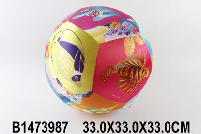 Image de ballon inflatable  1473987