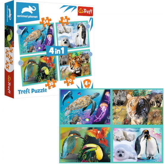 Image de PUZZLE 4IN1 THE MYSTERIOUS 34382