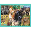 Image de PUZZLE 4IN1 THE MYSTERIOUS 34382