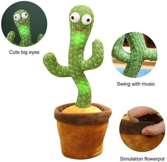 Image de cactus dansant