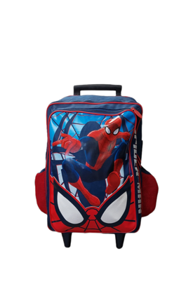 Image de 18" TROLLEY SPIDER MAN