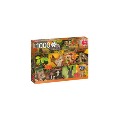 Image de puzzle 1000 pièces AUTOMNE ANIMAUX