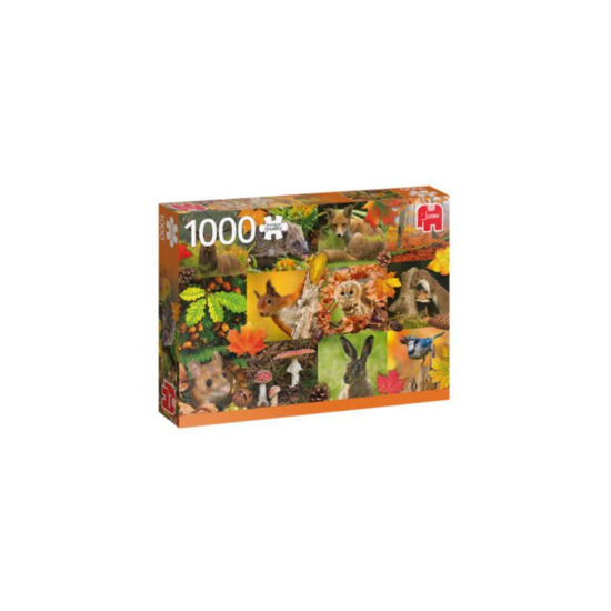Image de puzzle 1000 pièces AUTOMNE ANIMAUX