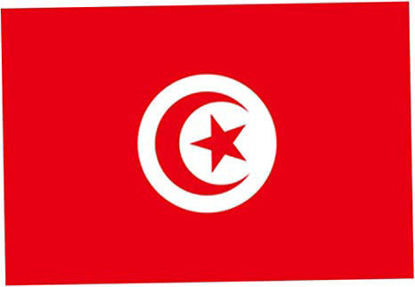 Image de Drapeau Tunisie en satin 138 x 93 cm