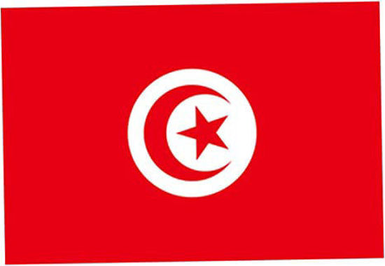 Image de Drapeau Tunisie en satin 138 x 93 cm