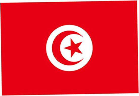 Drapeau Tunisie en satin 138 x 93 cm