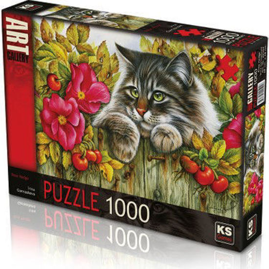 Image de puzzle 1000 pcs rose hedge