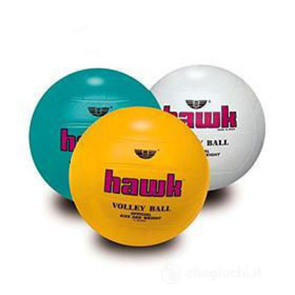 Image de Ballon volley hawk 22 cm ref 0905