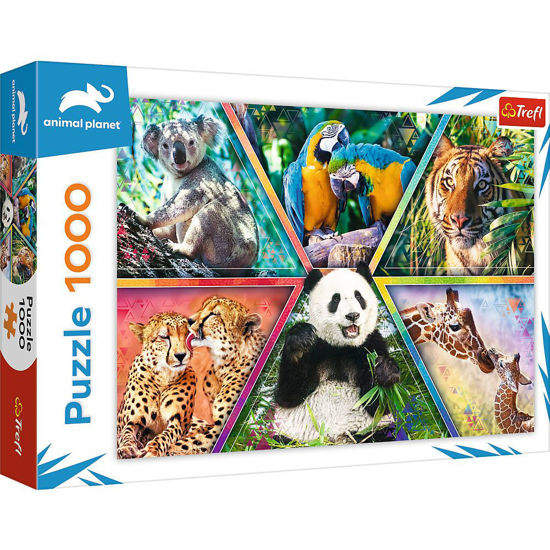 Image de Puzzles 1000 Animal Kingdom 10672