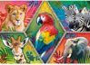 Image de Puzzles 1000 Animal Planet 10671