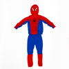 Image de Spider Man Déguisement enfant