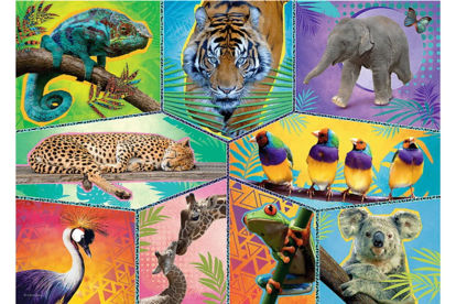 Image de Puzzles 200  Animal Planet 13280