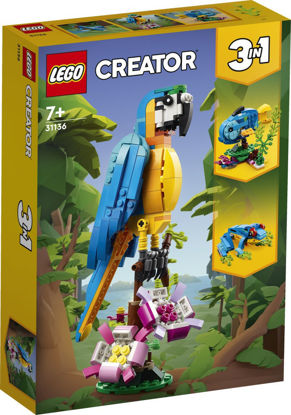 Image de Le Perroquet Exotique 31136