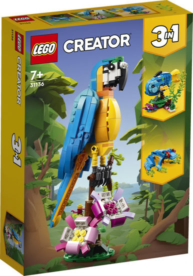 Image de Le Perroquet Exotique 31136
