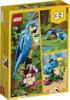 Image de Le Perroquet Exotique 31136