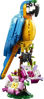 Image de Le Perroquet Exotique 31136