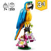 Image de Le Perroquet Exotique 31136