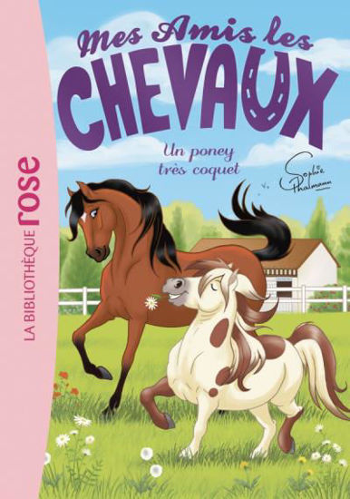 Image de MES AMIS LES CHEVAUX 26 - UN PONEY TRES COQUET