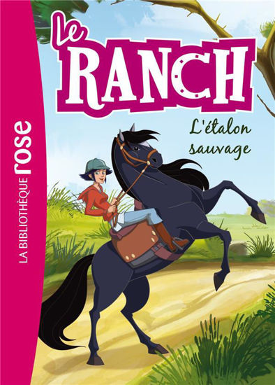 Image de Le ranch Tome 1 : l'étalon sauvage