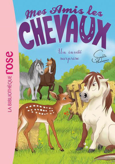 Image de MES AMIS LES CHEVAUX 28 - UN INVITE SURPRISE