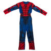 Image de DEGUISEMENT SPIDER 1057