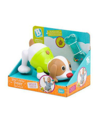 Image de Chiot Shake'n dance no:005209