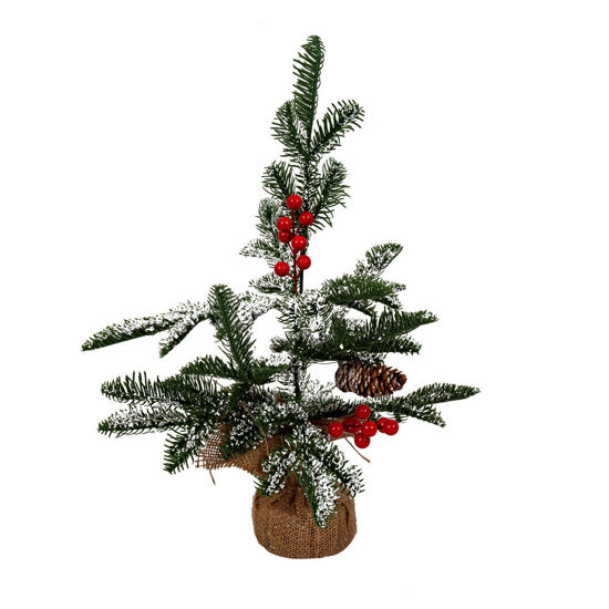 Image de SAPIN DICORE A5