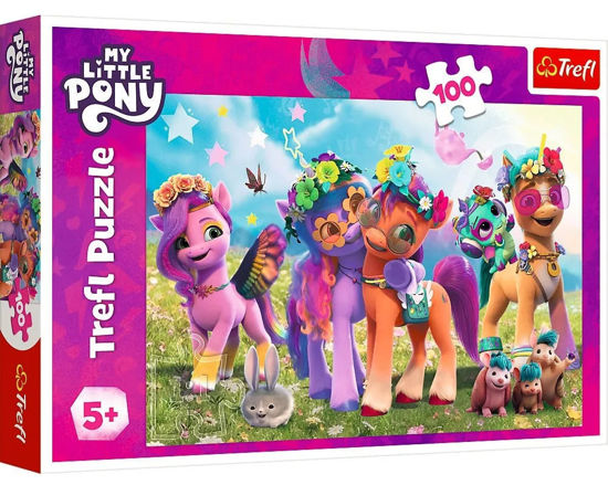 Image de Puzzles 100 My Little Pony 16463