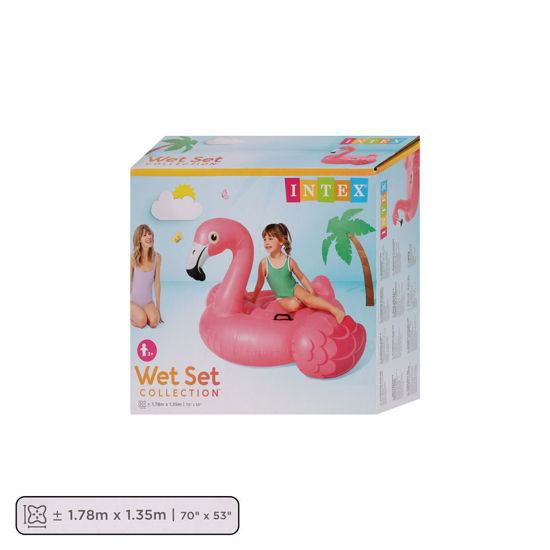 Image de PINK FLAMINGO RIDE ON