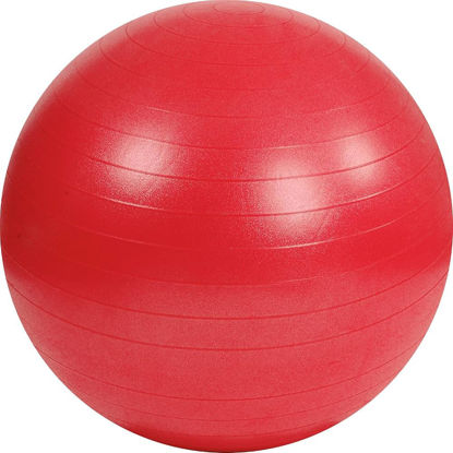Image de BALL DE GYM 55CM