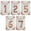 Image de BALLON CHIFFRE 32"