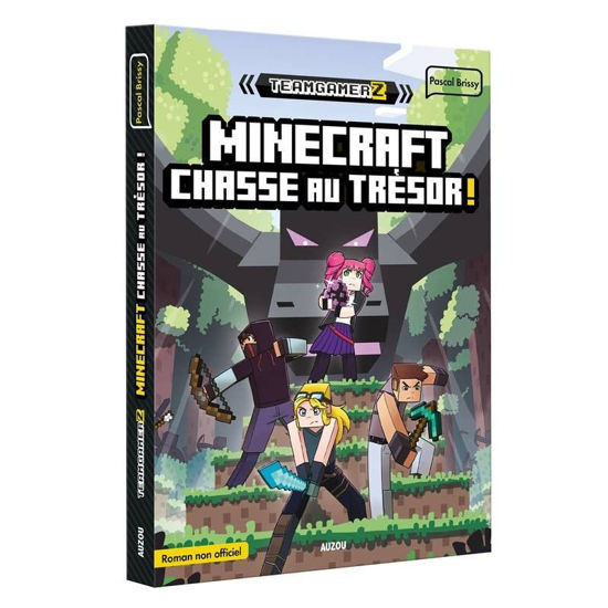 Image de TEAM GAMERZ T2 CHASSE AU TRESOR
