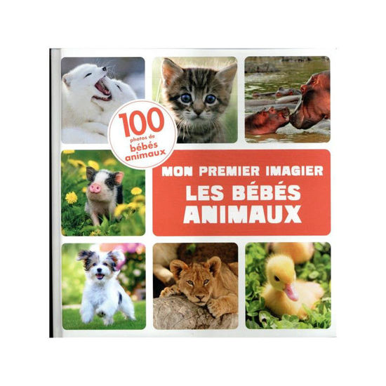 Image de Mon premier imagier les bebes animaux