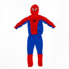 Image de DEGUISEMENT SPIDER