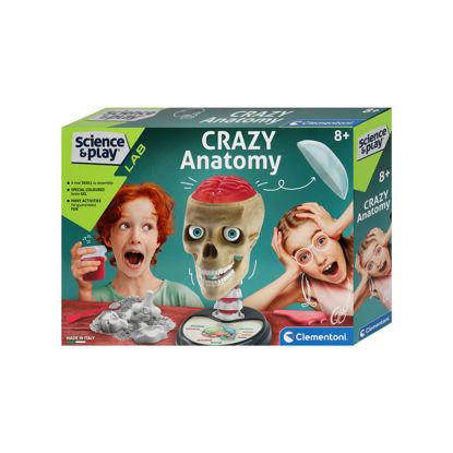 Image de SCIENCE & JEU-LABORATOIRE D'ANATOMIE