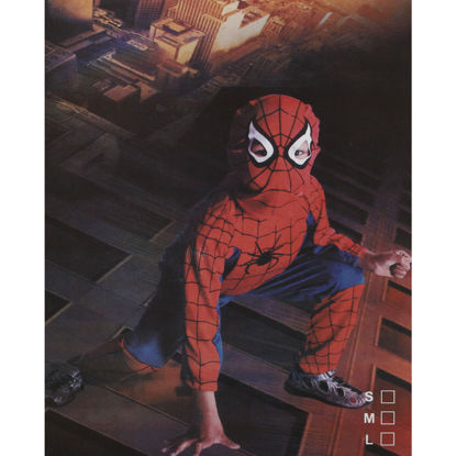 Image de DEGUISEMENT SPIDERMAN