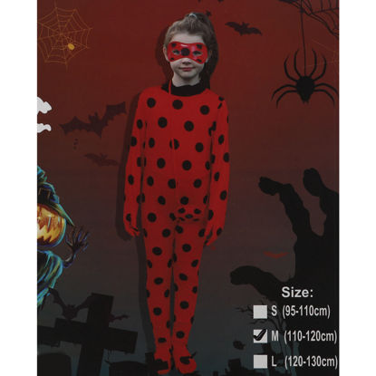 Image de DEGUISEMENT MIRACULOUS
