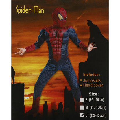 Image de DEGUISEMENT SPIDERMAN