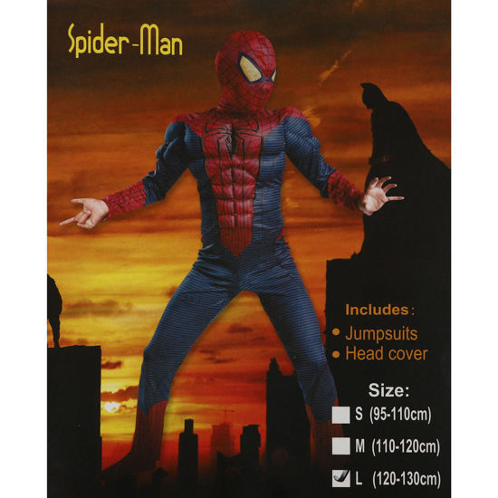 Image de DEGUISEMENT SPIDERMAN
