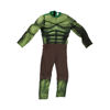 Image de DEGUISEMENT HULK