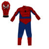 Image de DEGUISEMENT SPIDER MAN