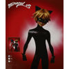 Image de Déguisement Chat Noir