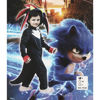 Image de DEGUISEMENT SONIC