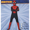 Image de DEGUISEMENT SPIDER