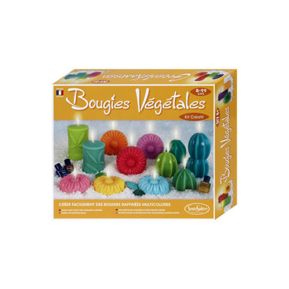 Image de BOUGIES VEGETALES