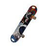 Image de SKATE BOARD 808