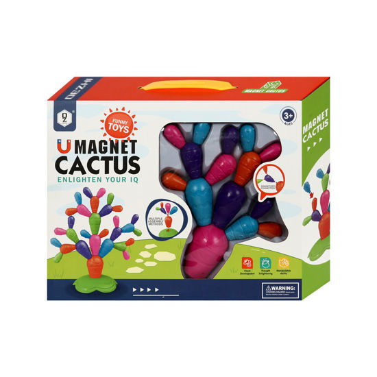 Image de MAGNETIC CACTUS PUZZLE