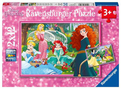 Image de PUZZLE 2*12 DANS LE MONDE DES PRINCESSES 07620